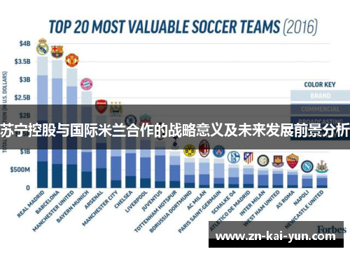 苏宁控股与国际米兰合作的战略意义及未来发展前景分析